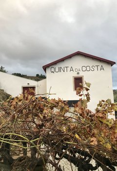 Quinta da Costa.jpg